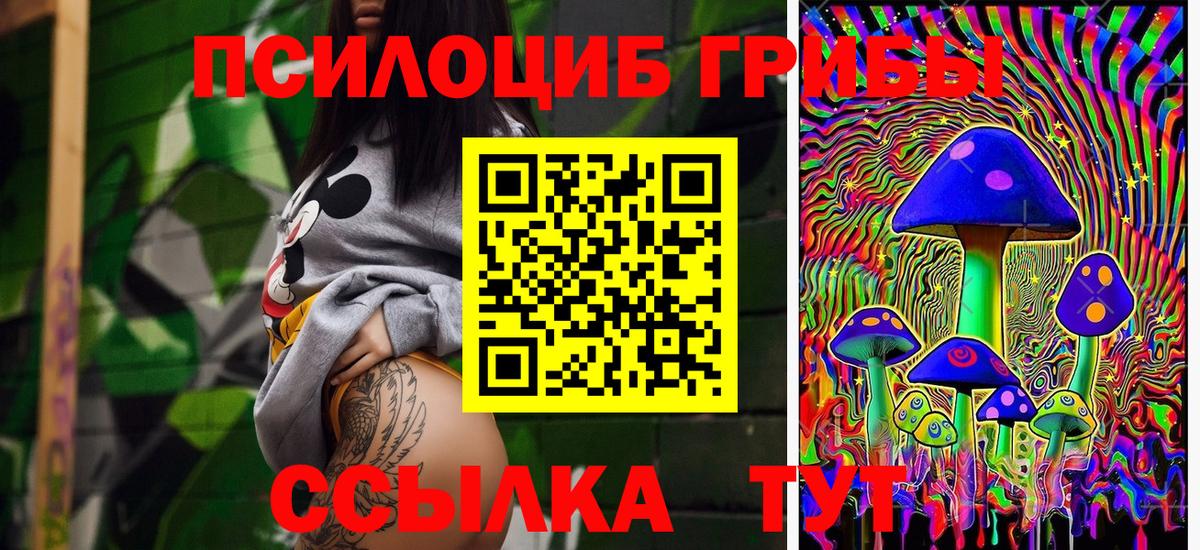 Галлюциногенные грибы GOLDEN TEACHER Дзержинский
